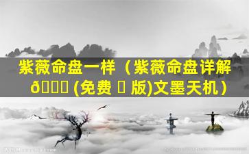 紫薇命盘一样（紫薇命盘详解 🐕 (免费 ☘ 版)文墨天机）